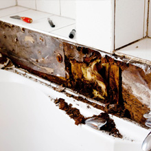 Pipe Burst- Causes of Mold-Property Doctors Colorado