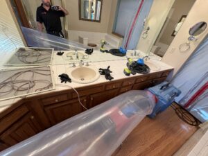Mold remediation cost