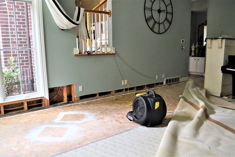 water damage on your property